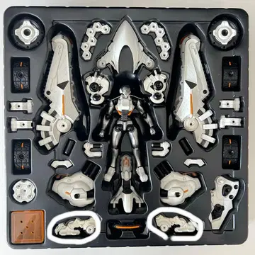 어셈블 보그 트라이 스트라이커 특별판 LUNA STINGRAY