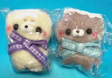 스쿠토 타치상 콘 카페 체크 코코아 아자라시상 2점 2