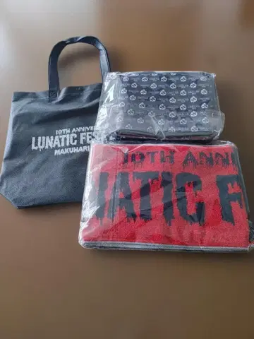 LUNATIC FEST 2025 VIP 시트 혜택