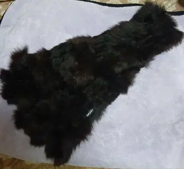 다나 캐릭터 퍼스트 올