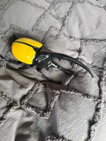 장수풍뎅이 피규어 블랙과 옐로우 컬러