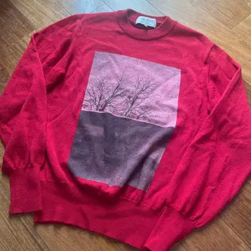 VAINL ARCHIVE 얇은 소재 프린트 스웨터 S