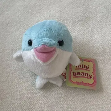 mini beans 돌고래 미니콩