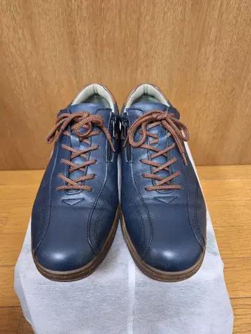 WORLD MARCH 워킹, 남성 신발