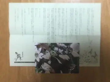 신선조 물망초 야마자키 스스무 연애편지 브로마이드