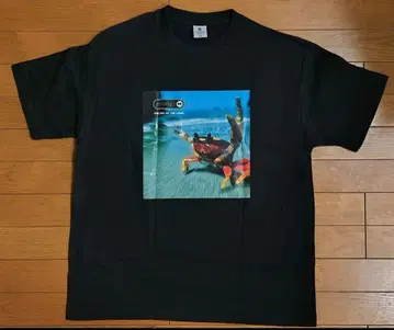 프로디지 prodigy