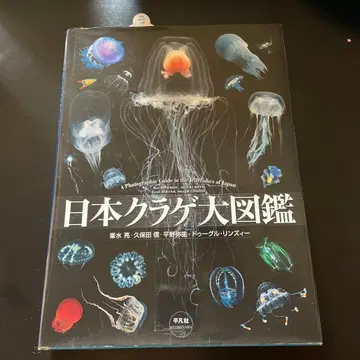 일본 해파리 대도감