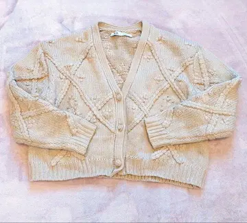 ZARA 크로셰 뜨기 장미 숏 니트 가디건 [ 새상품급 ]