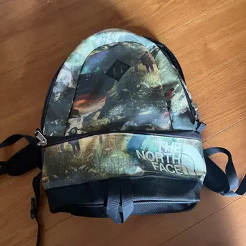 THE NORTH FACE 컬러풀 백팩