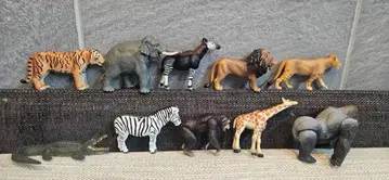 아니아 동물 피규어 10개 세트