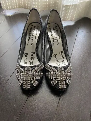 Bridget Birkin 비쥬 하이힐