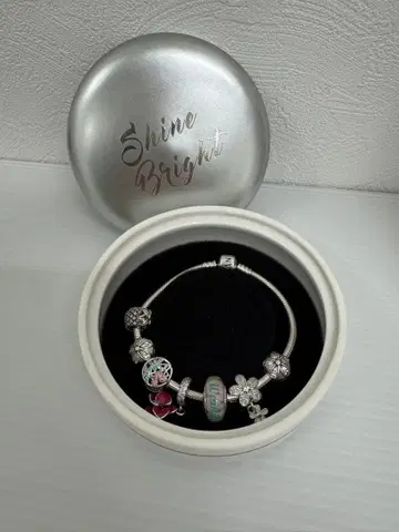 PANDORA 판도라 참 팔찌 실버