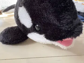 커다란 범고래 봉제 인형 약 40cm