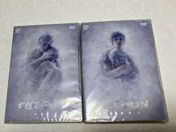 COCOON 별 하나 달의 그늘 2세트