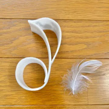 SnowMan 음표 깃털