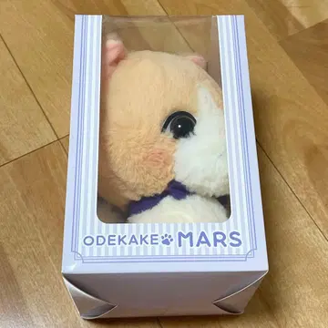 후지와라 이츠키 멘프로 ODEKAKE MARS