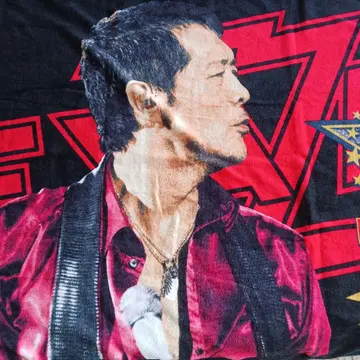 야자와 에이요시 2014년 콘서트 타월