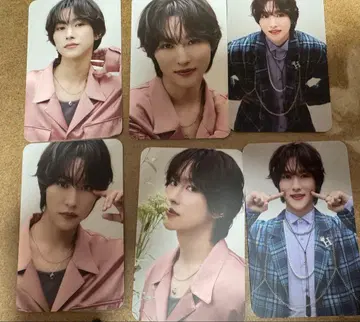 ROIROM 본다이무 세트