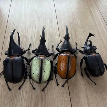 장수풍뎅이 헤라클레스 곤충 피규어 모형 묶음 판매 완구 남아