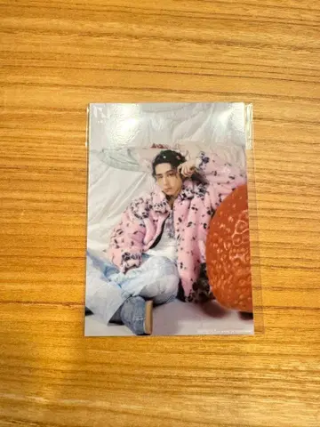 니시 코토 세븐넷 브로마이드