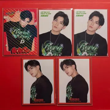 코하츠 시 포토 카드 EVOLVE TOUR