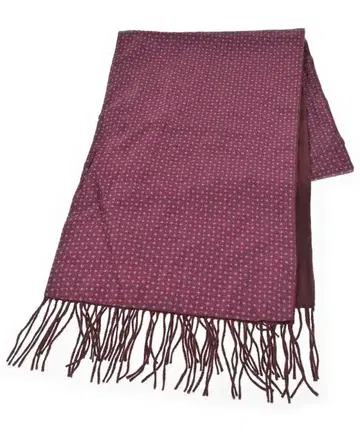 Salvatore Ferragamo 스톨 남성용