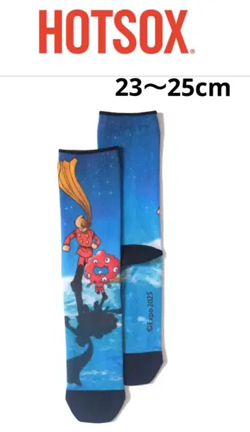 HOTSOX 미야쿠미야쿠 양말 삭스 23-25cm 일본제