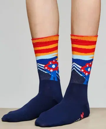 미야쿠미야쿠 양말 비명 핫삭스 고흐 삭스 일본제