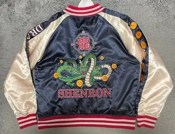 드래곤볼 Z 스카잔