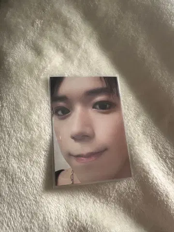 카노 요시마사 포토 카드 시크레