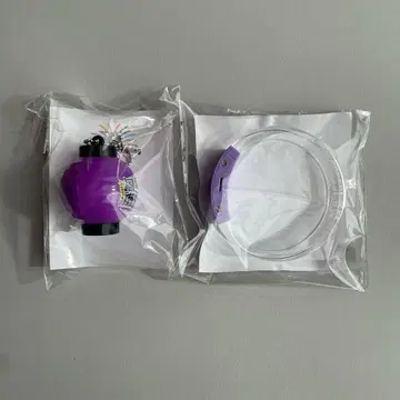 timelesz 후마 키쿠치 팬미팅 뱅글 초친