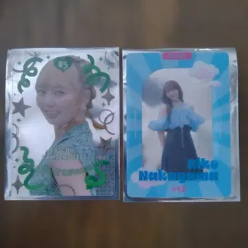 [ 사립 에비스 중학 ] 에비츄 트레이딩 카드 FAMIEN'25ver.