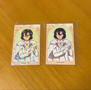 나루토 프린세스 카페 일러스트 트레이딩 카드 2개 세트 테시마