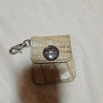 알즈니 재떨이 케이스