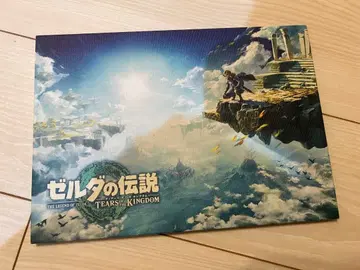 젤다의 전설 TEARS OF THE KINGDOM 아트