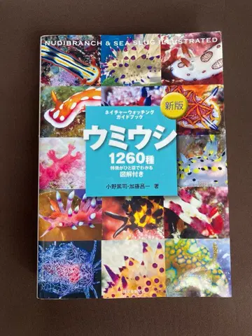 갯민숭달팽이 도감 (신판)