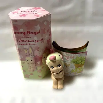 소니엔젤 체리블라썸