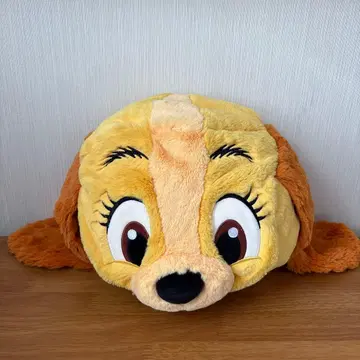 디즈니 레이디 팬캡