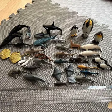 해양 생물 피규어 세트 약 40개