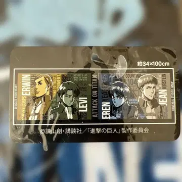 진격의 거인 타월 약 34 x 100cm