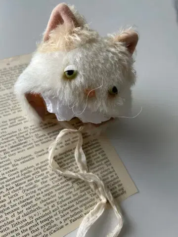 브라이스 아웃핏