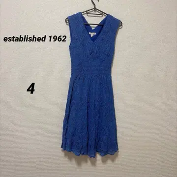 established 1962 원피스 블루 플레어 슬리브리스