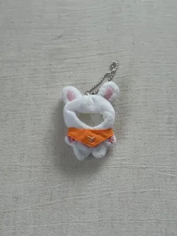 BTS 국 봉제 인형 의류