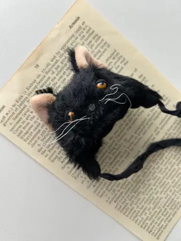 브라이스 아웃핏