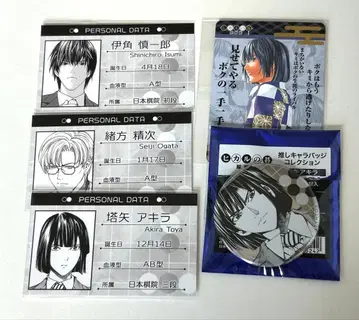 히카루의 바둑 원화전