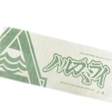 하루카미라이 타월