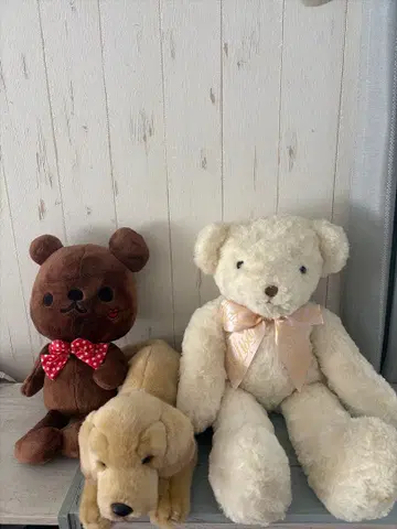 LIZ LISA, Smoo.chu, YOMIKO Yellow Lab 3점