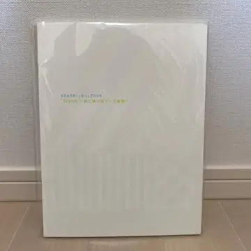 ARASHI 10-11 TOUR 'Scene' 팜플렛