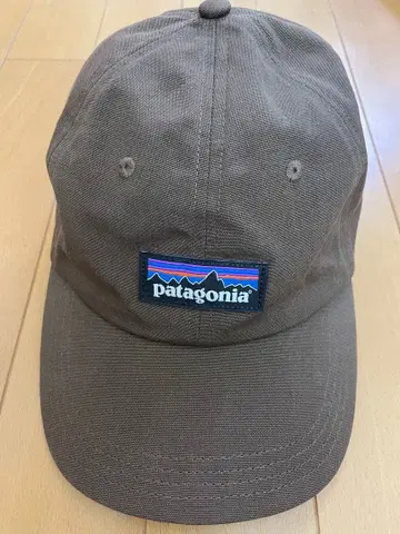 patagonia 브라운 캡 모자 파타고니아 브라운 브라운 brown