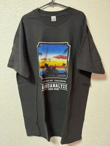 challenger loveearart 콜라보T셔츠 챌린저